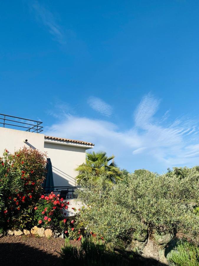 Le Mas Du Soleil Sainte-Maxime Exterior photo